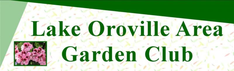 Lake Oroville logo