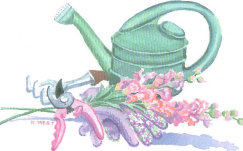 watering can image