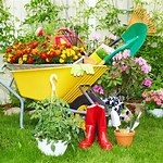 image of wheelbarrow with flowers and garden tools